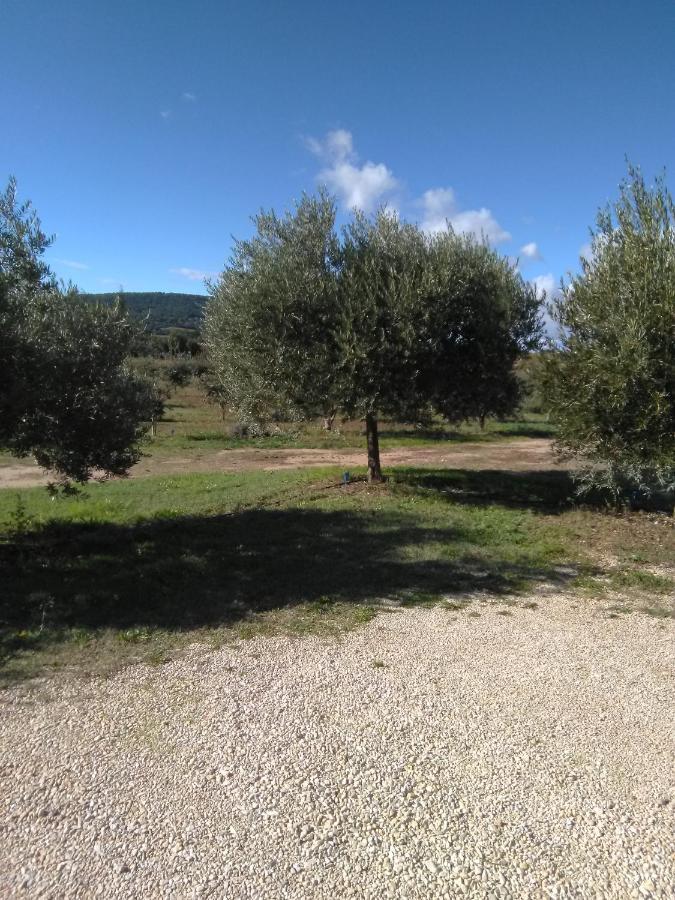 Vacances Vaison La Romaine Kültér fotó
